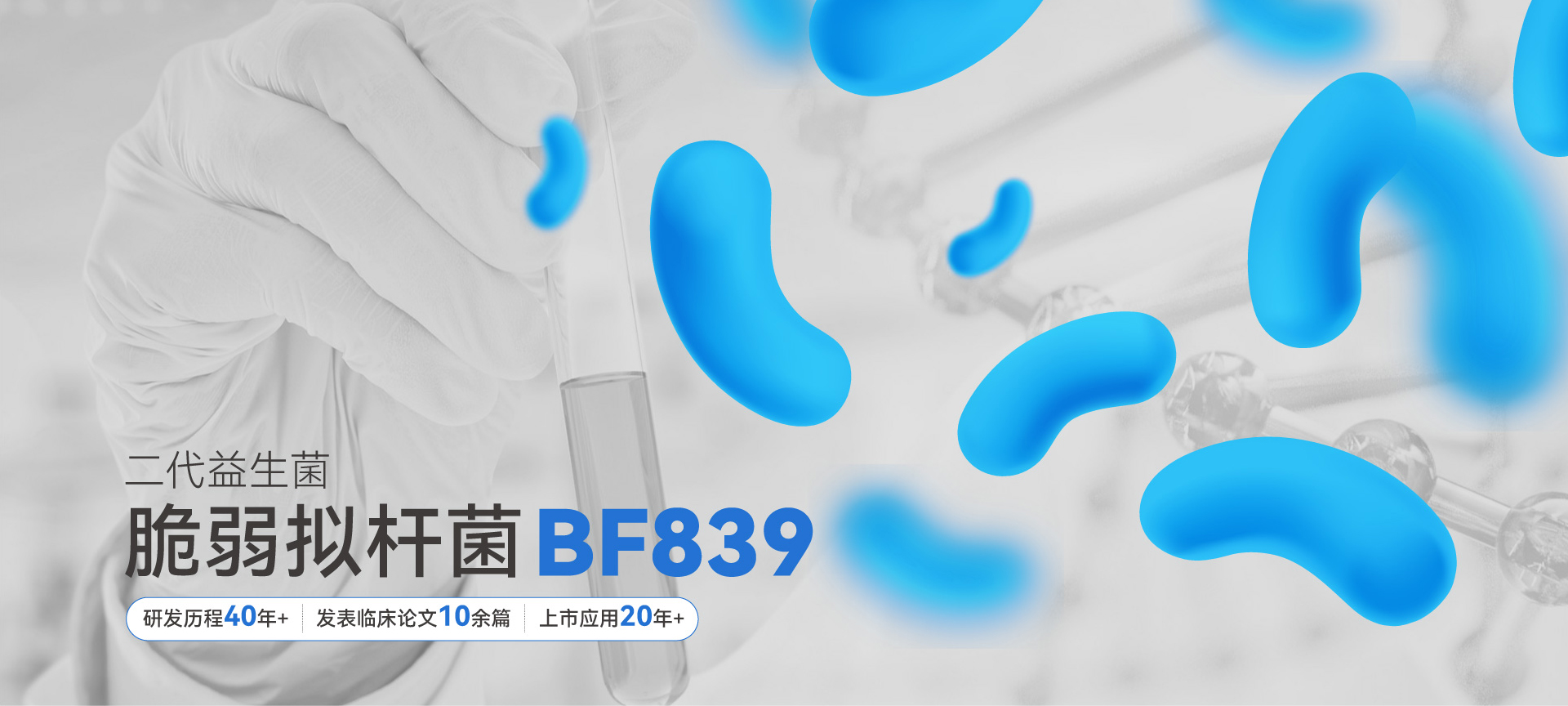 二代益生菌脆弱拟杆菌BF839