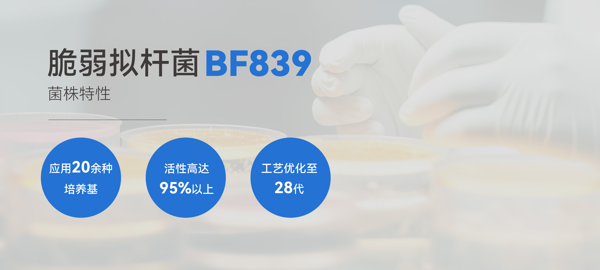 脆弱拟杆菌BF839菌株特性